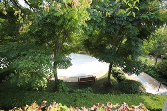 Enlarge photo 81