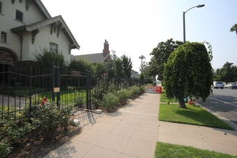Enlarge photo 115
