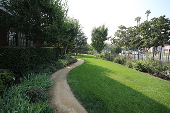 Enlarge photo 119