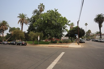Enlarge photo 56