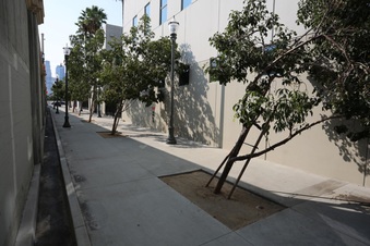 Enlarge photo 20