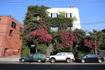 Enlarge photo 40