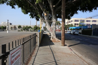 Enlarge photo 48