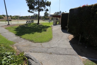 Enlarge photo 43