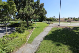 Enlarge photo 44