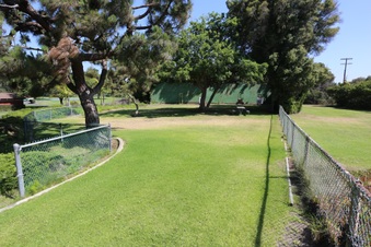 Enlarge photo 45