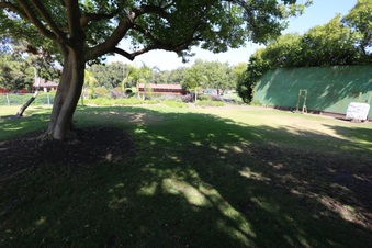 Enlarge photo 51