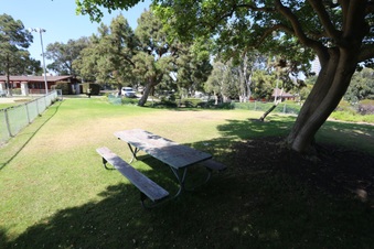 Enlarge photo 52