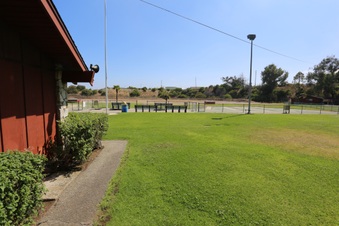Enlarge photo 64