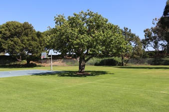 Enlarge photo 73