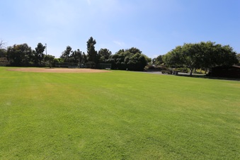 Enlarge photo 74