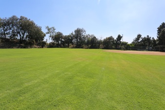 Enlarge photo 75