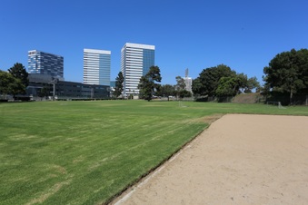 Enlarge photo 87