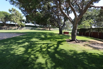 Enlarge photo 90