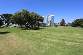 Enlarge photo 94