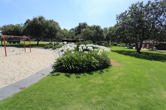 Enlarge photo 97