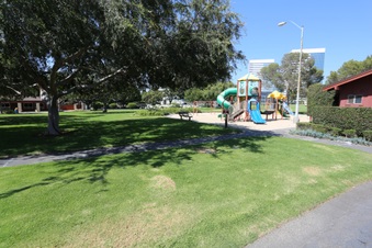 Enlarge photo 117