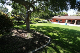 Enlarge photo 121