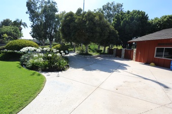 Enlarge photo 125