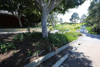 Enlarge photo 137