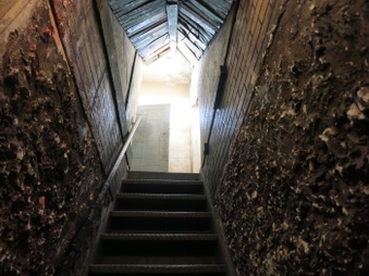 Enlarge photo 52