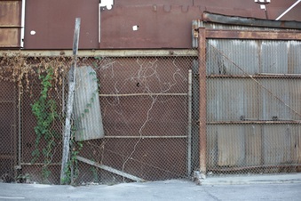 Enlarge photo 134