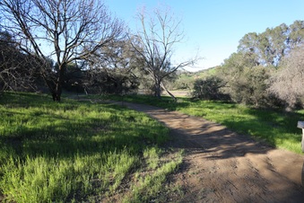 Enlarge photo 19