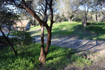 Enlarge photo 26