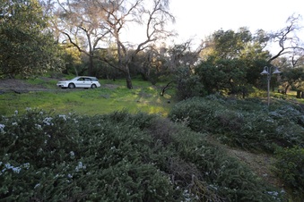 Enlarge photo 32