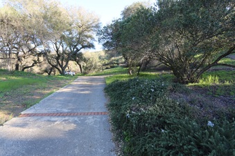 Enlarge photo 33
