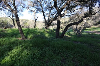 Enlarge photo 34
