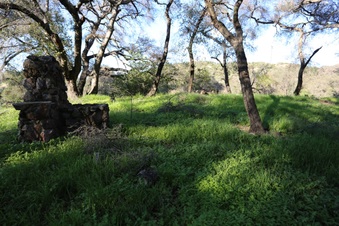 Enlarge photo 35