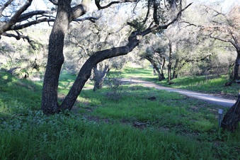 Enlarge photo 36