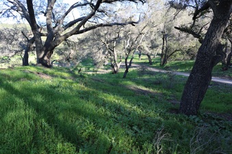 Enlarge photo 39