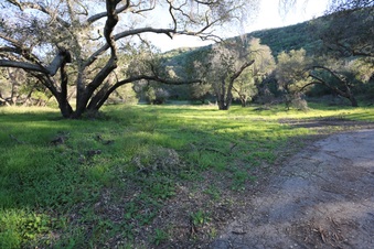 Enlarge photo 41