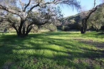 Enlarge photo 42