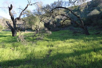 Enlarge photo 44