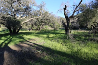 Enlarge photo 45