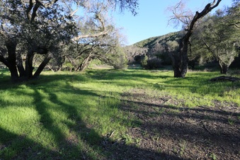 Enlarge photo 46