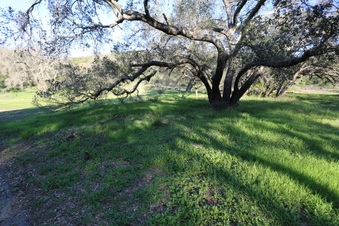 Enlarge photo 47
