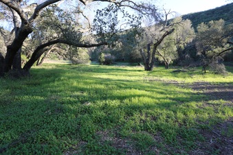 Enlarge photo 48