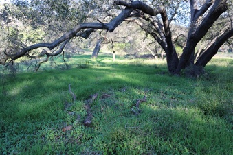 Enlarge photo 49