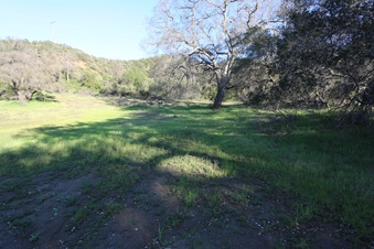 Enlarge photo 50