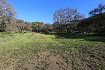 Enlarge photo 51