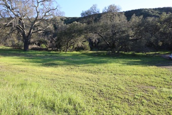 Enlarge photo 56
