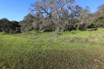 Enlarge photo 58