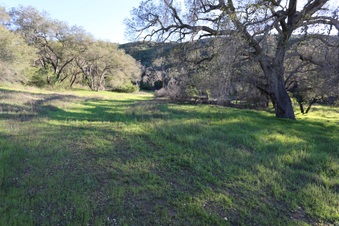 Enlarge photo 61