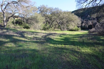 Enlarge photo 62