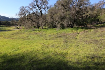 Enlarge photo 63