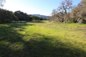 Enlarge photo 64